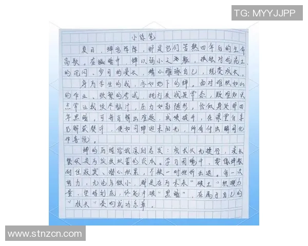 深度对话:探索陈芳在网球世界中的奋斗与成长之路 深度对话:探索陈芳在网球世界中的奋斗与成长之路